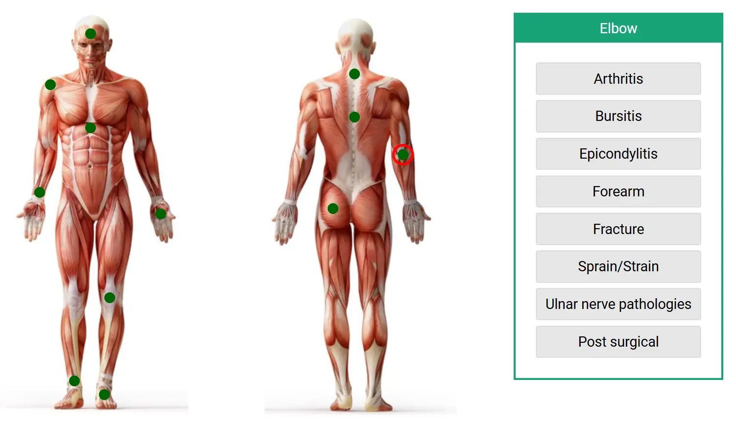 رابط کاربری لیست پروتکل‌های پیش‌فرض در دستگاه لیزر فیزیوتراپی شرکت TSD