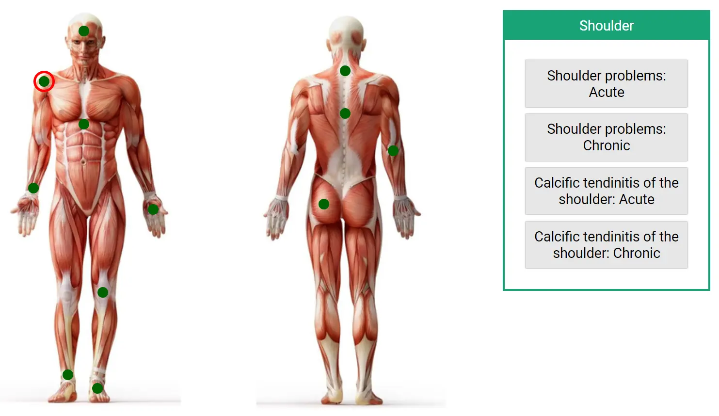 صفحه اصلی رابط کاربری دستگاه شاک‌ویو سری Ultimate برای شرکت TSD